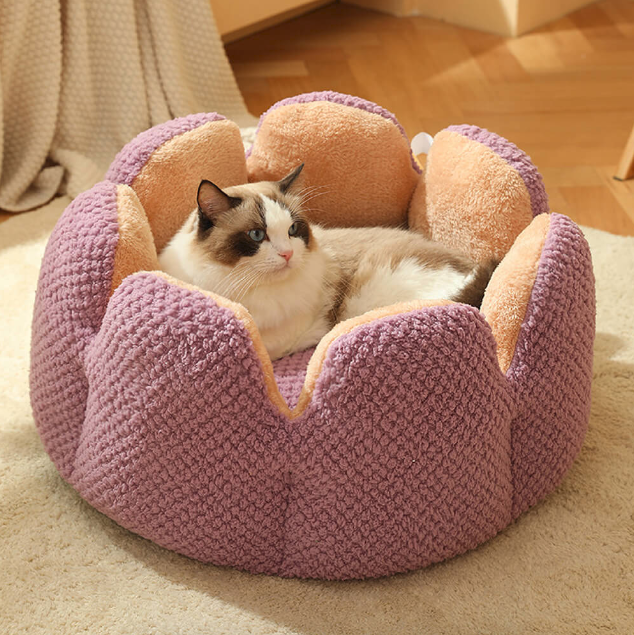 Cactus Shape Comfy Pet Bed