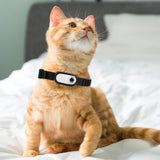 Pet Adventure Camera Collar