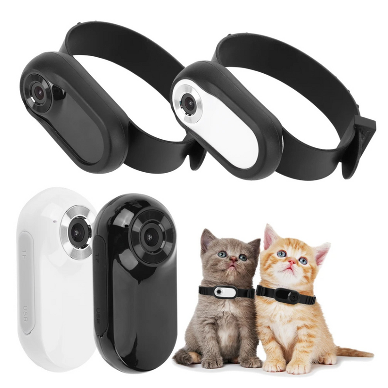 Pet Adventure Camera Collar